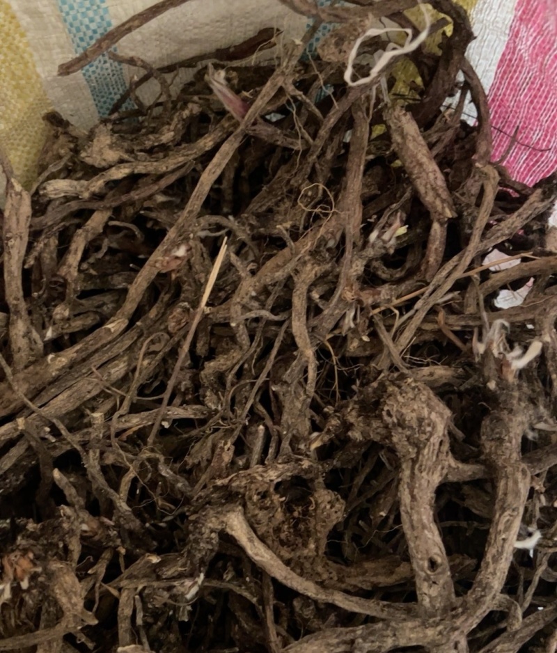 漏芦干货，统货。量大价格可谈，种子也采的有。