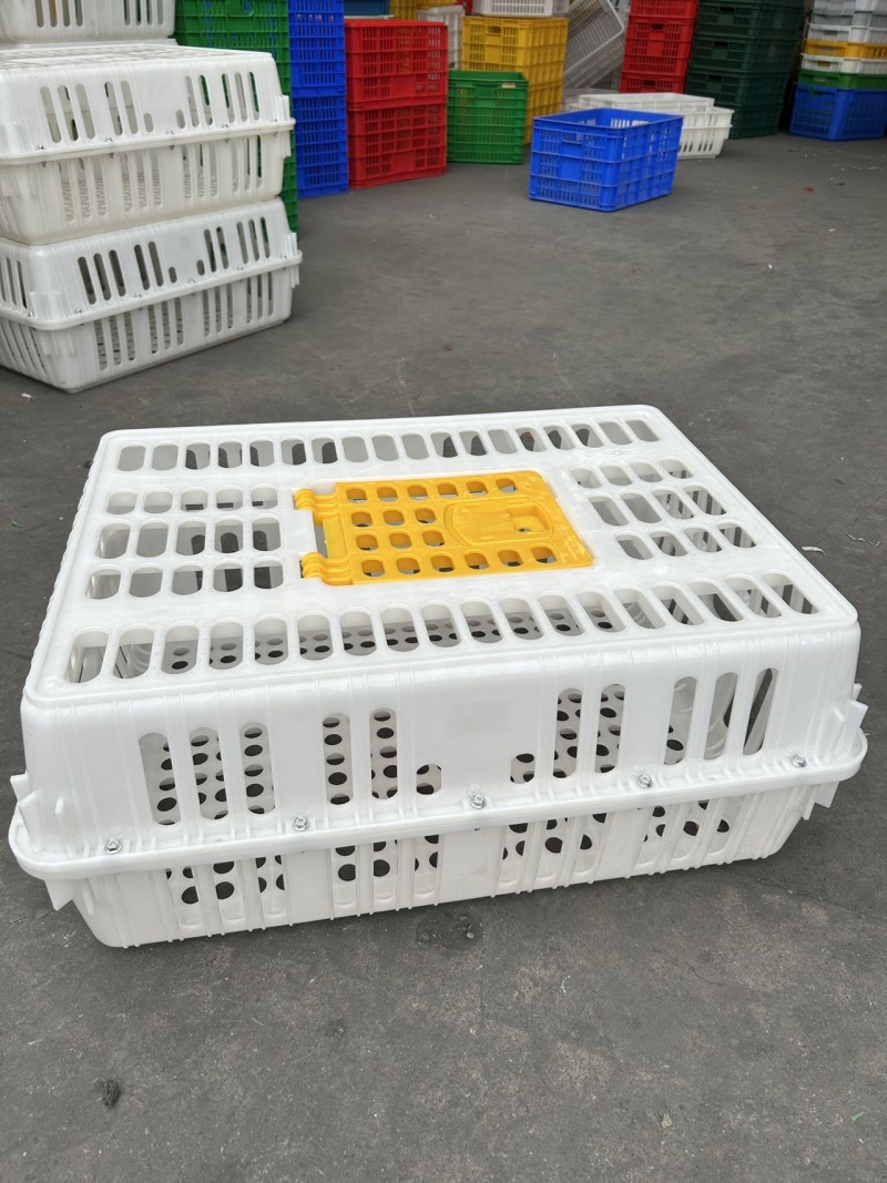 工厂直销全新鸡鸭鹅运输周转笼具外尺寸：长75宽54高31