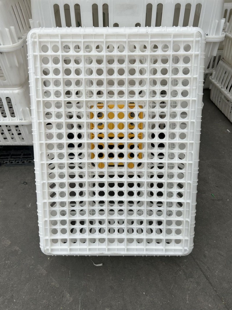 工厂直销全新鸡鸭鹅运输周转笼具外尺寸：长75宽54高31