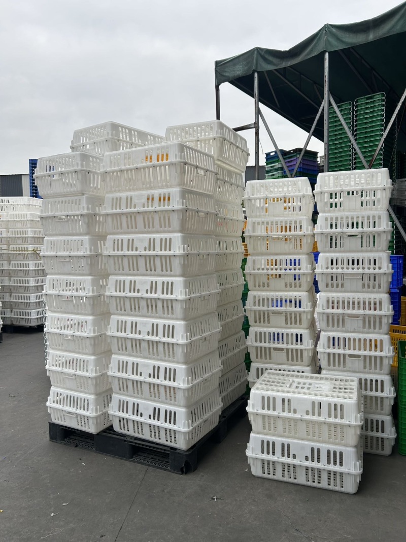 工厂直销全新鸡鸭鹅运输周转笼具外尺寸：长75宽54高31