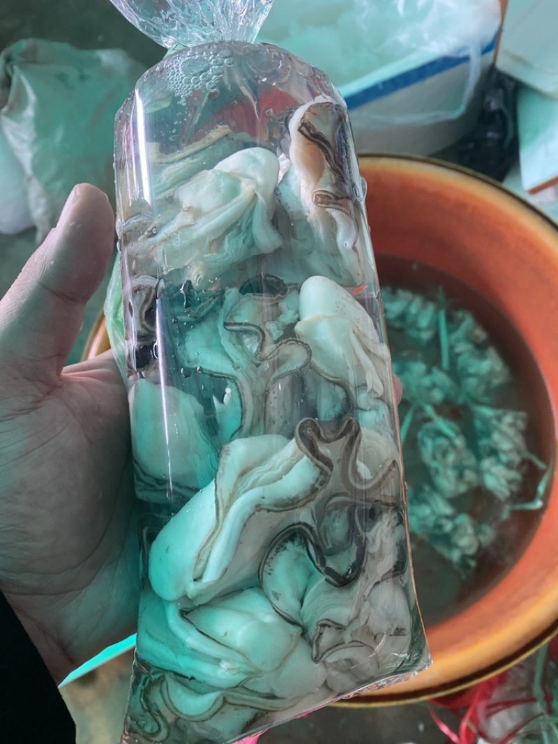 蚝蛋烧生蚝，蚝蛋烧专属规格生蚝，发全国