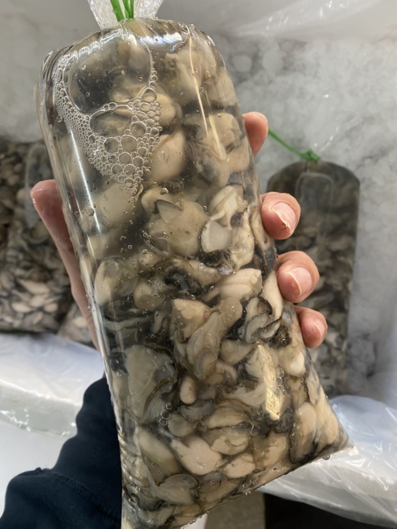 新鲜牡蛎肉，牡蛎之乡-福建原产地直发，当天新鲜现开
