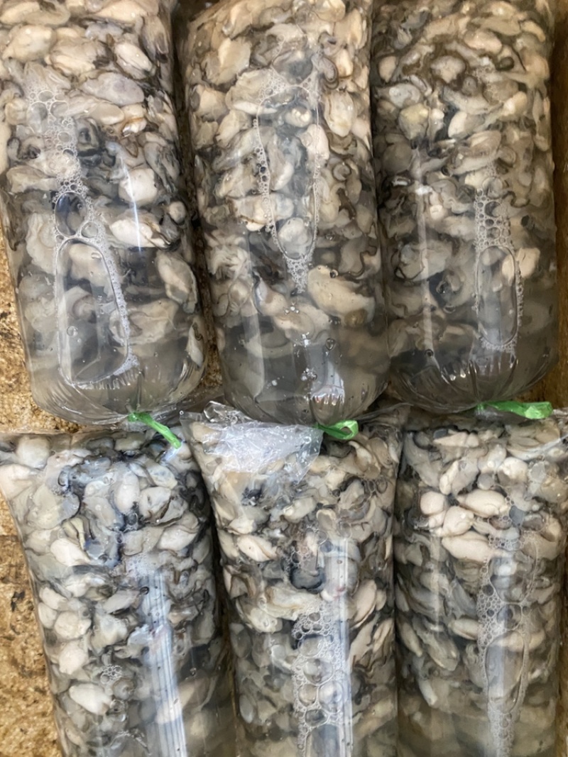 新鲜牡蛎肉，牡蛎之乡-福建原产地直发，当天新鲜现开
