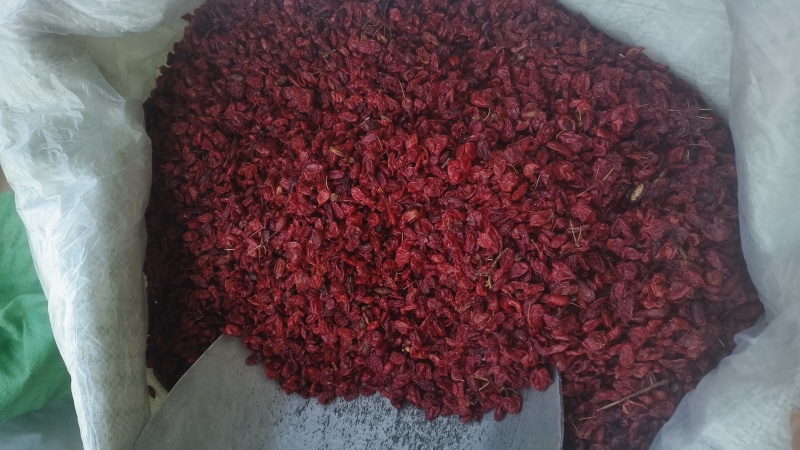 《山茱萸》山萸肉新货枣皮无核泡酒炖肉滋补佳品