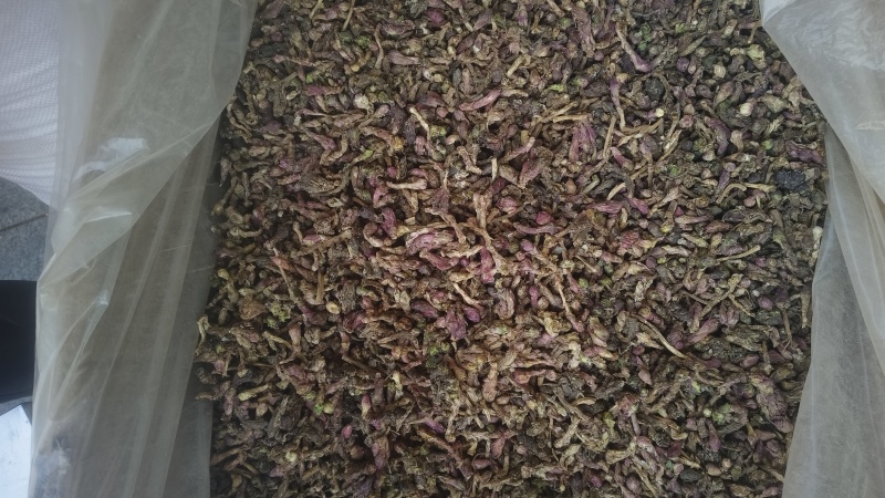 《款冬花》甘肃冬花新货颜色好批发零售量大从优