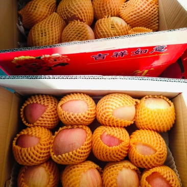 沂源红苹果