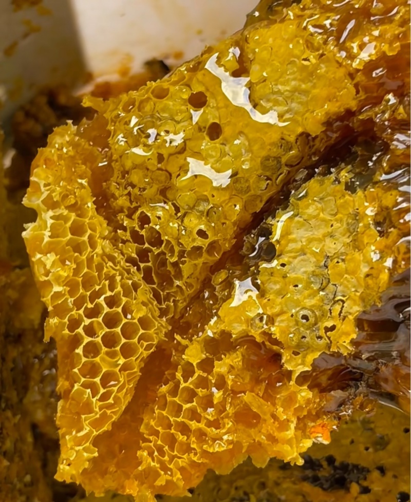 蜂蜜百花蜜土蜂蜜支持一件代发大宗批发一手货源