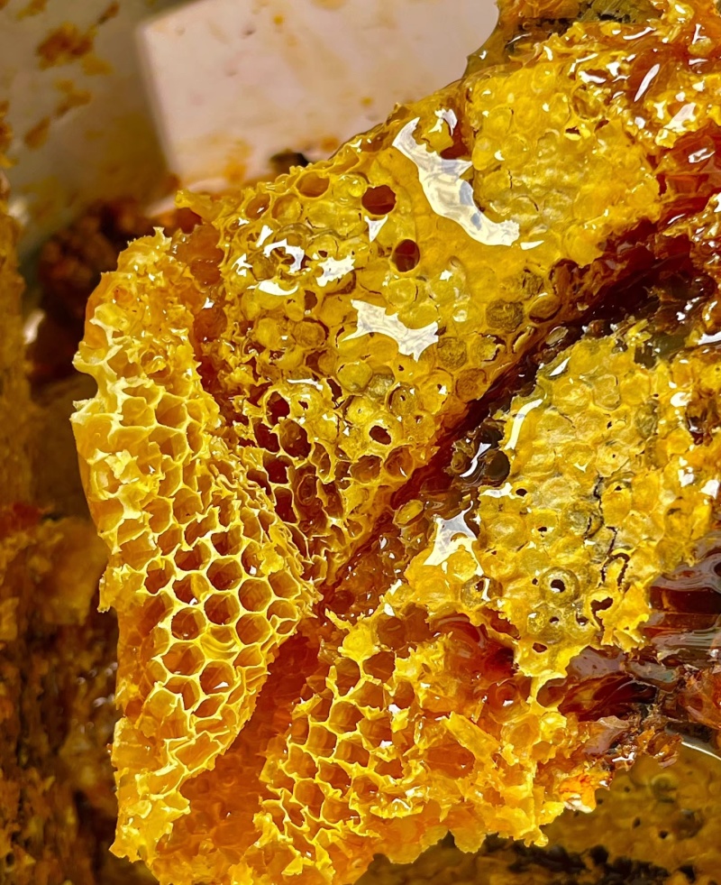 蜂蜜百花蜜土蜂蜜支持一件代发大宗批发一手货源