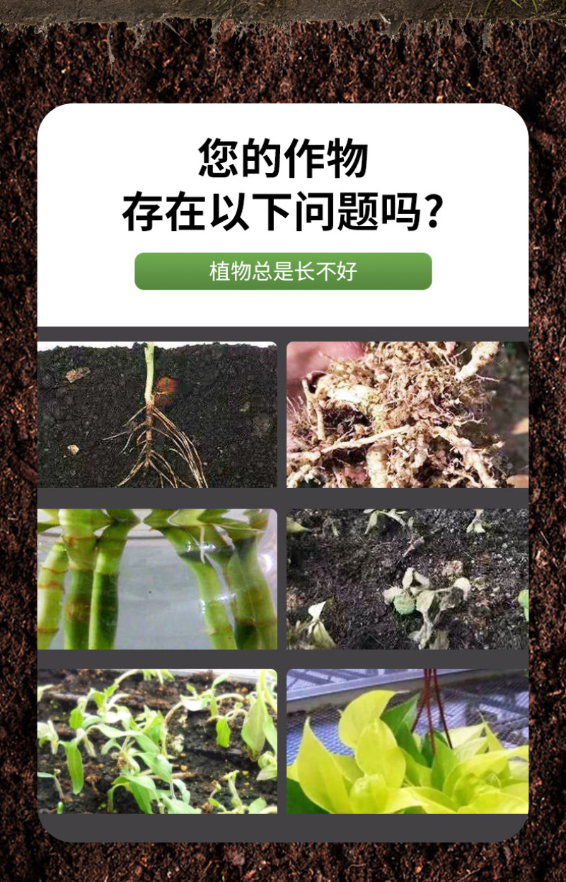 锐护中药肥生根液活菌爆根微生物菌剂活性氨基酸生物酶