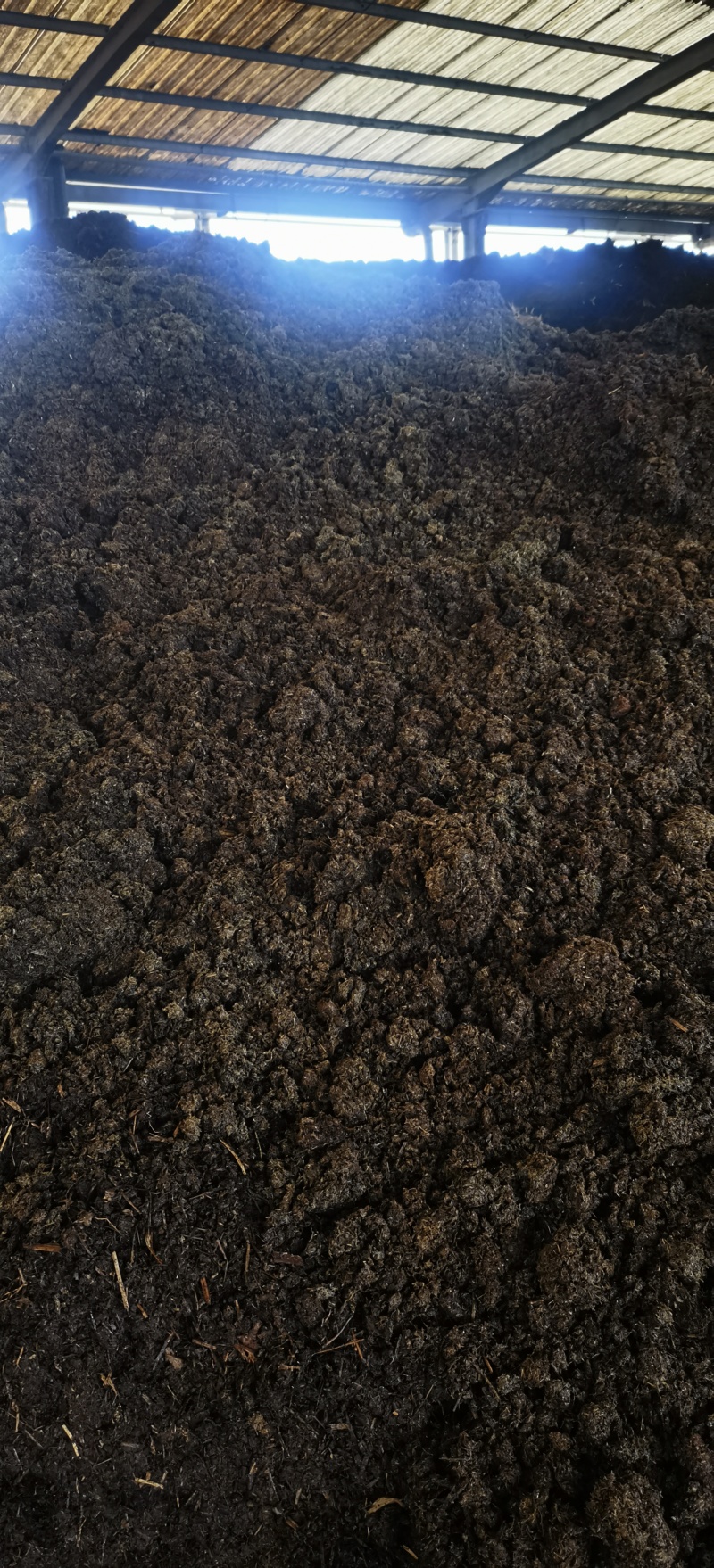 牛粪大型牛场直销广东云浮