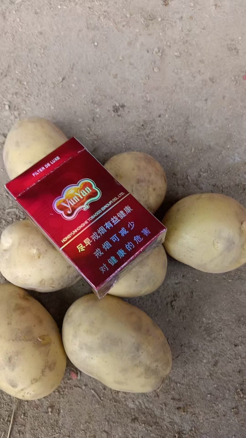 大量云南土豆
