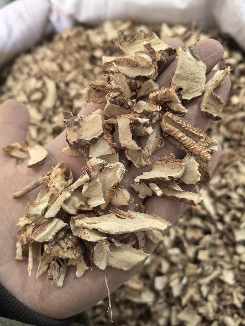 知母多种规格大货供应七彩百草中药材批发