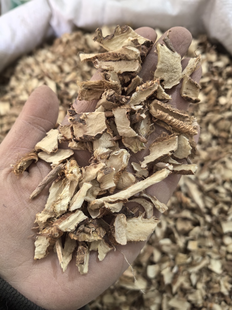 知母多种规格大货供应七彩百草中药材批发