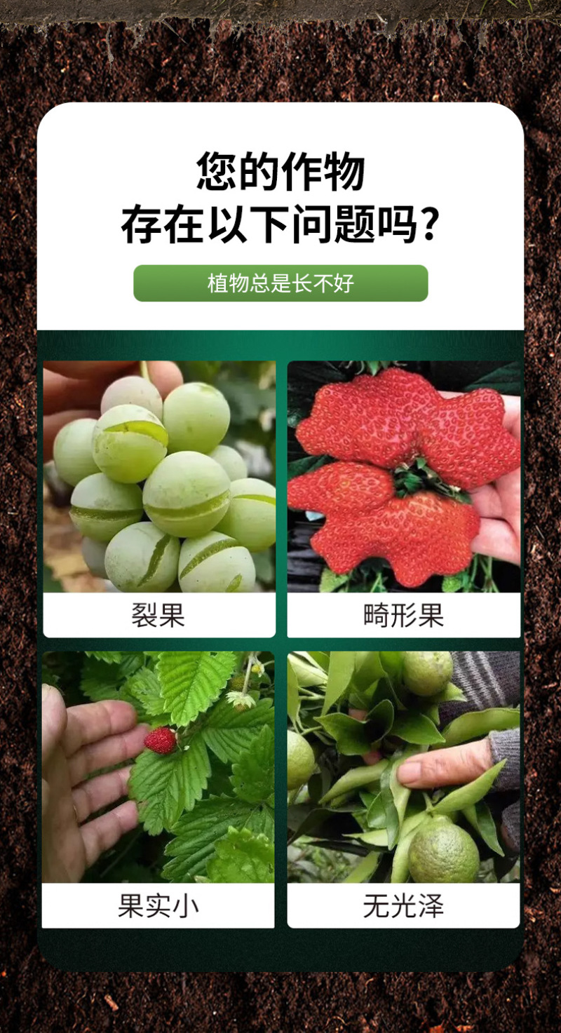 锐护膨果一号微量元素蔬果水溶肥料高浓度肥易吸收氮磷钾肥