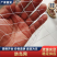 涤纶合股材质大棚通风口防鸟网果园防鸟网专用养殖天网