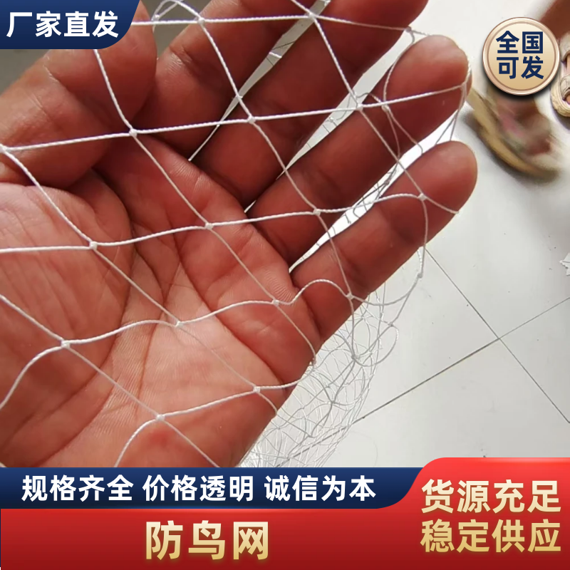 涤纶合股材质大棚通风口防鸟网果园防鸟网专用养殖天网