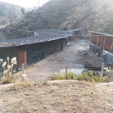 农场出租