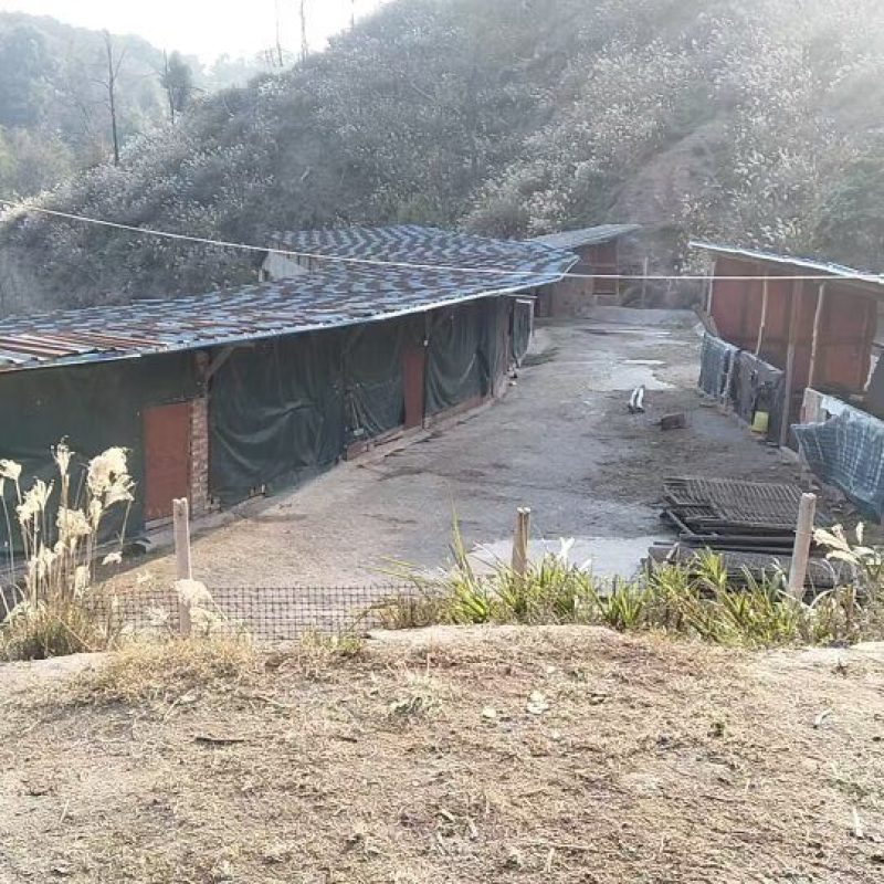 农场出租