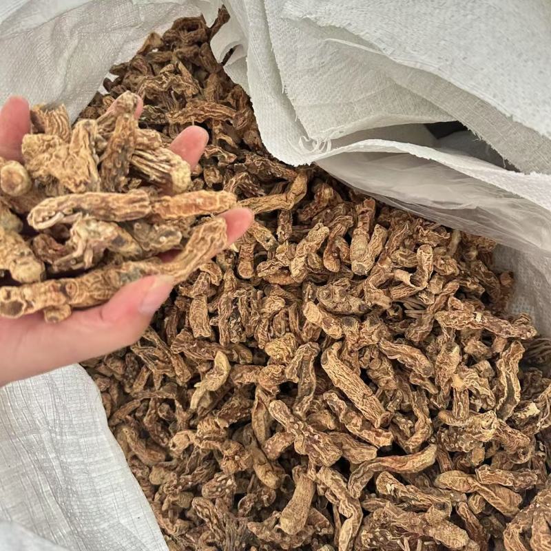 知母个中药材批发正品脱毛桂枝芍药参连母货母无硫新鲜新货
