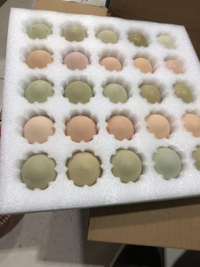 精品安徽双色土鸡蛋蛋黄大可视频看货诚信经营