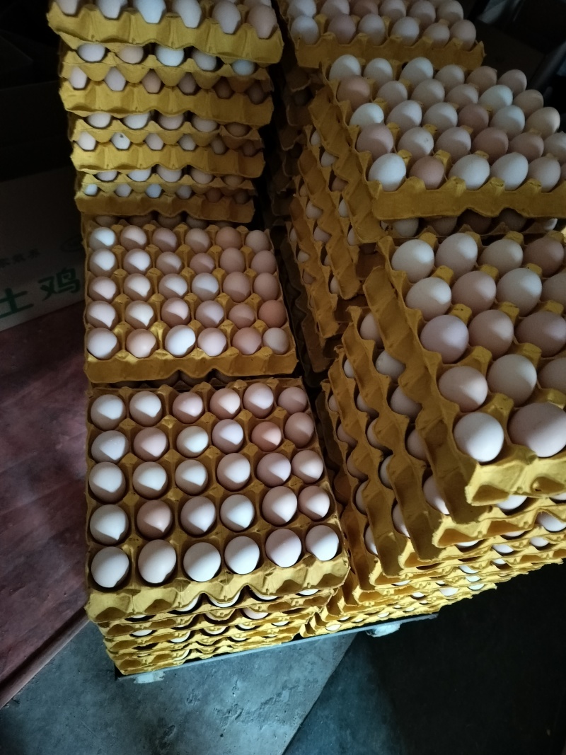 精品安徽双色土鸡蛋蛋黄大可视频看货诚信经营