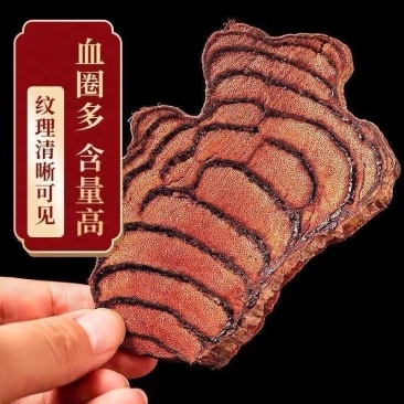 【精选】野生鸡血藤品质保证含量高品质保证一手货源
