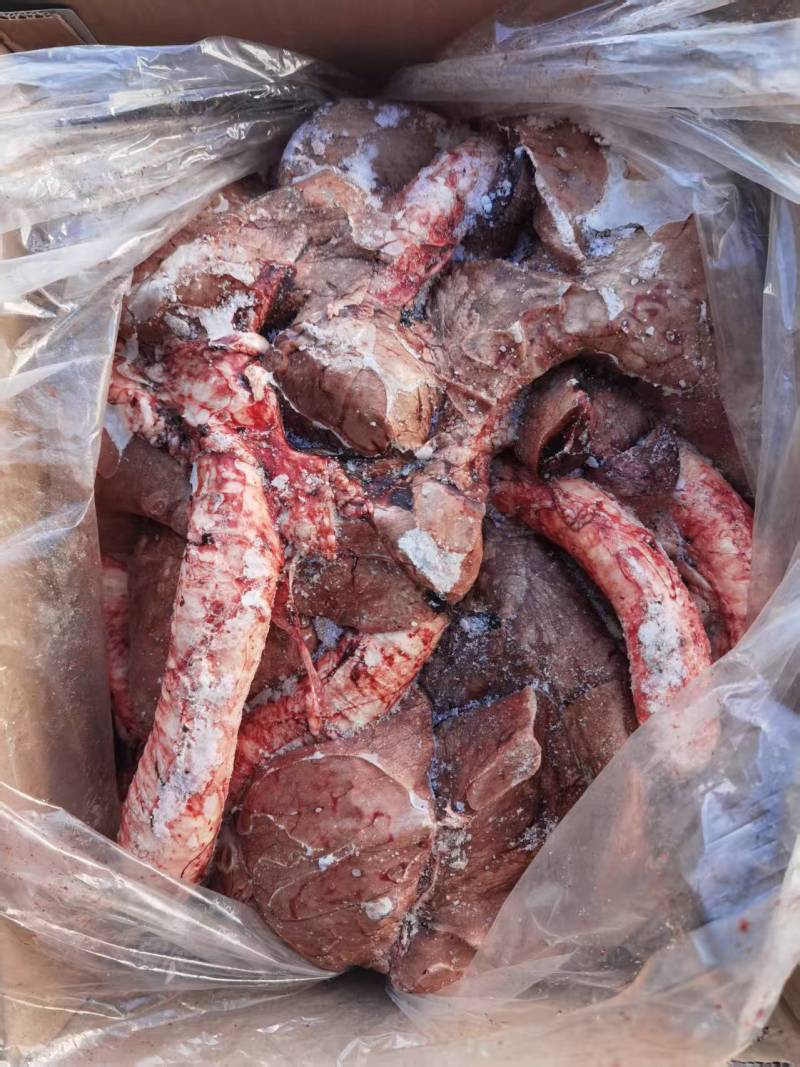 羊心肺低价出售货源充…箱装