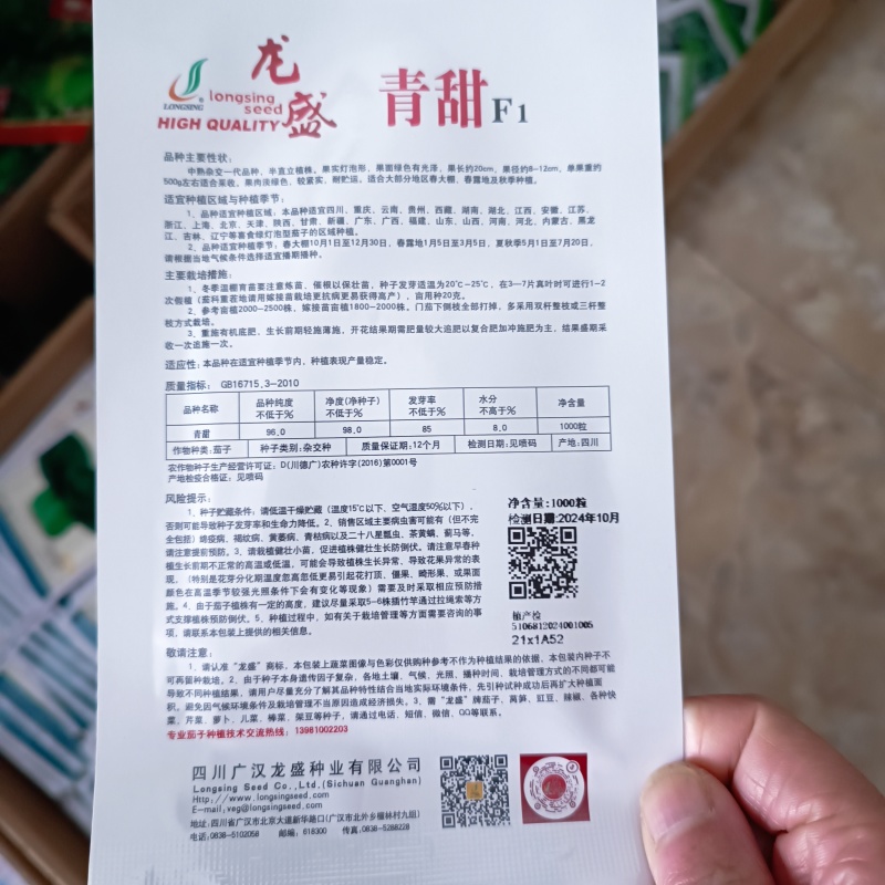 龙盛青甜茄子种子绿色灯泡茄子种子果肉淡绿色杂交茄子种籽基