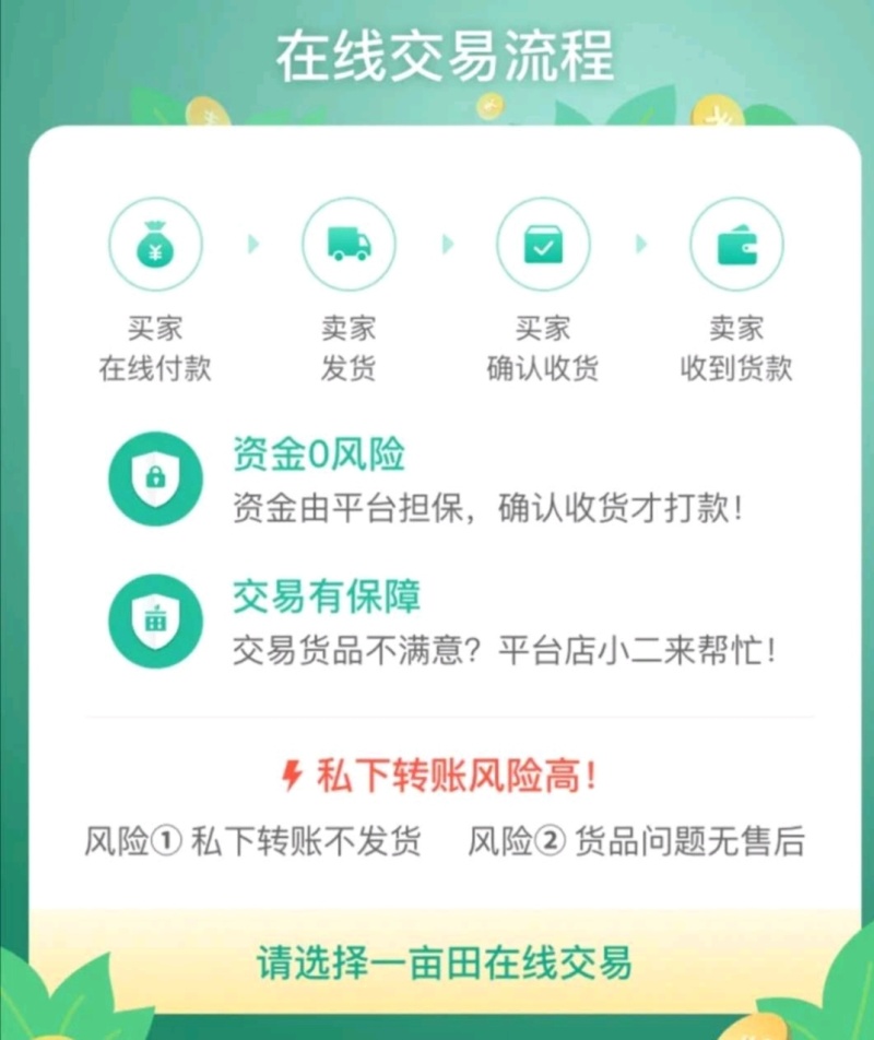 五黑鸡五黑一绿麻羽绿壳蛋鸡厂家源头基地疫苗已做完