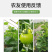锐护哈茨木聚糖中药肥蔬果叶面肥全水溶微量元素纯中药提取