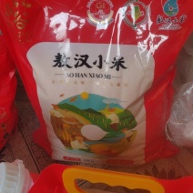 敖汉小米
