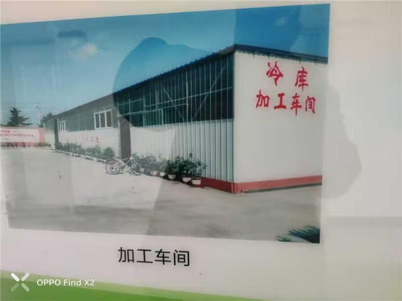 精品红富士苹果新鲜采摘量大从优质量保证欢迎咨询
