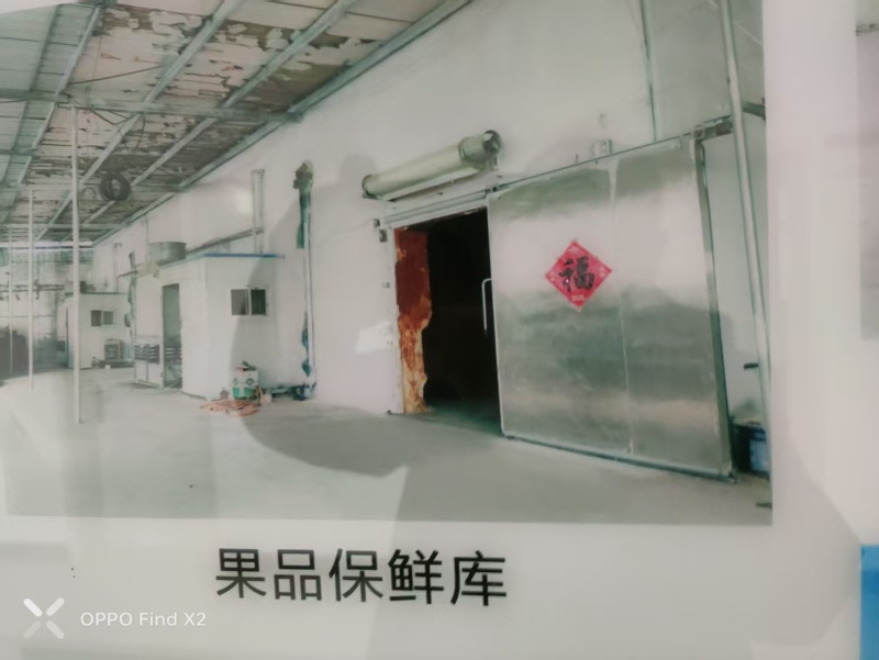 精品红富士苹果新鲜采摘量大从优质量保证欢迎咨询