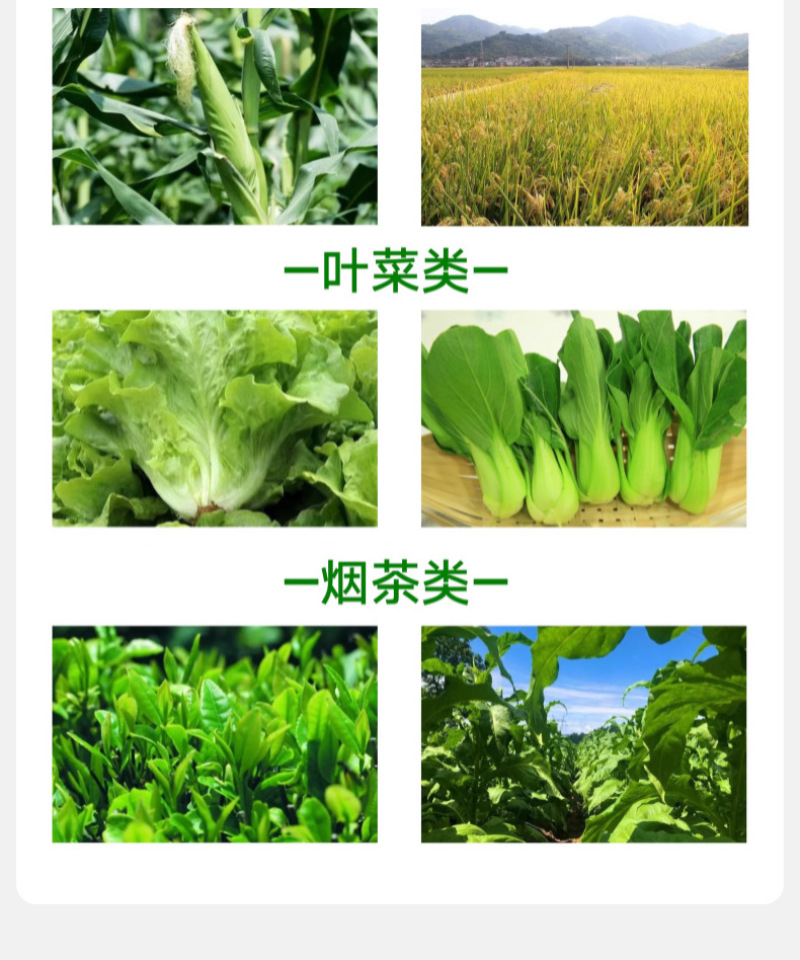18元素氨基酸水剂十八元素含氨基酸水溶肥料果树蔬菜药材肥