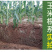 锐护生根剂原液移栽扦插育苗果树蔬菜植物通用生根剂微量元素