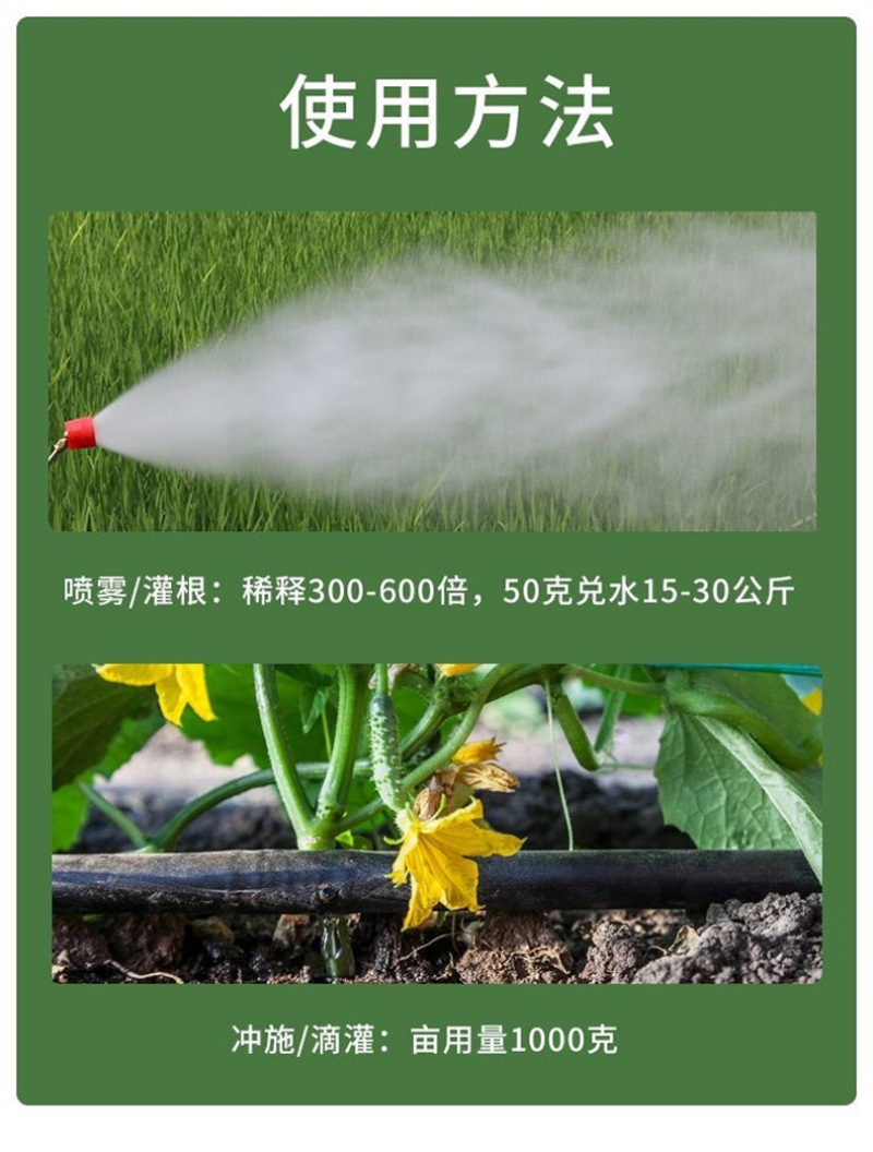 锐护生根剂原液移栽扦插育苗果树蔬菜植物通用生根剂微量元素