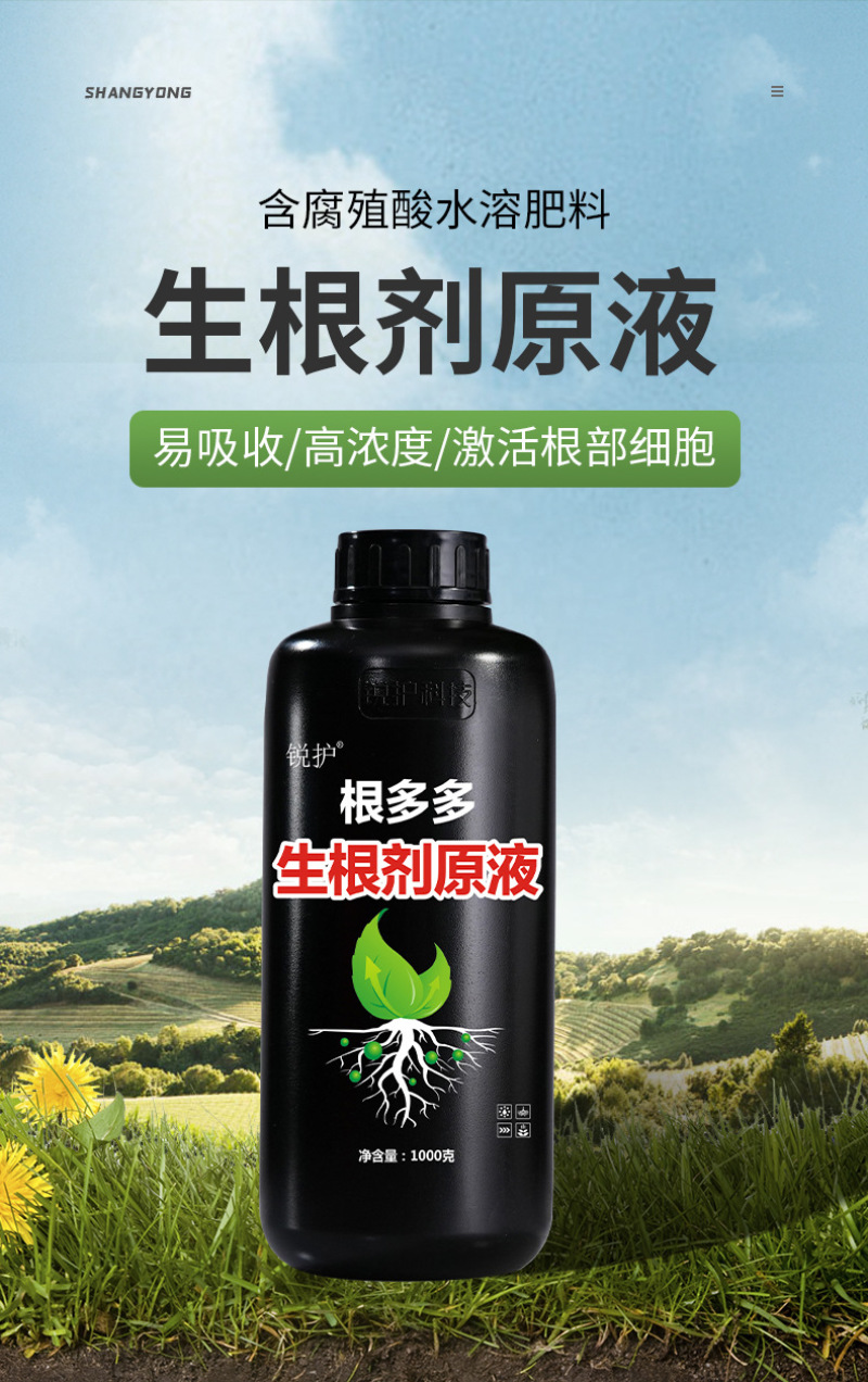 锐护生根剂原液移栽扦插育苗果树蔬菜植物通用生根剂微量元素
