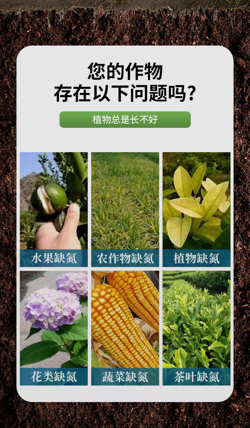 锐护地变果满聚能多肽氮肥水溶肥料蔬菜果树通用多肽氮水剂肥