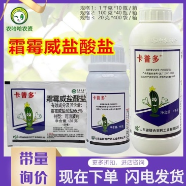 卡普多66.5%霜霉威盐酸盐菠菜黄瓜霜霉病杀菌剂