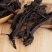 紫草1公斤中药材紫草紫草根紫草正品