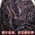 紫草1公斤中药材紫草紫草根紫草正品