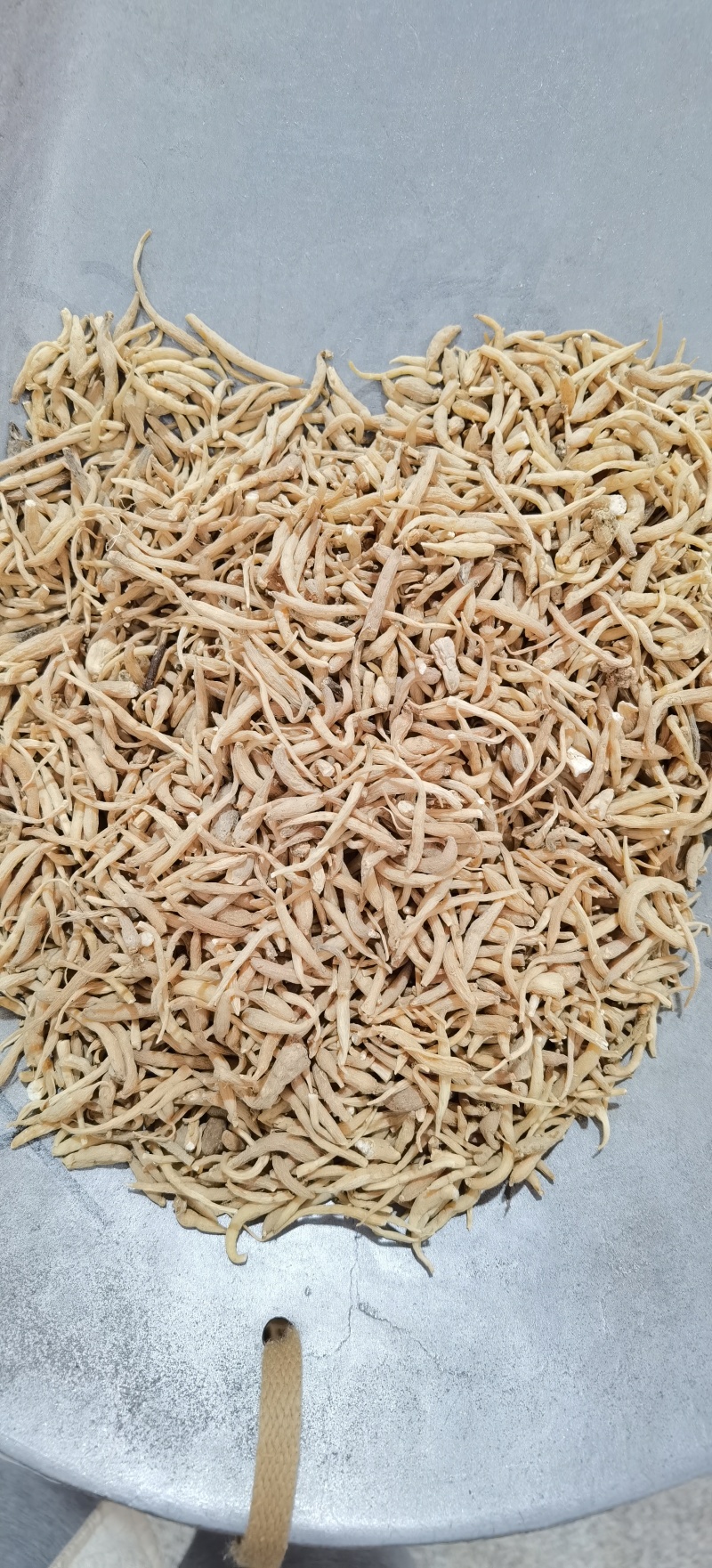 无硫太子参产地一手货源量大价优可供实体店及批发零售