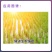瓦拉格罗苗迪发1升