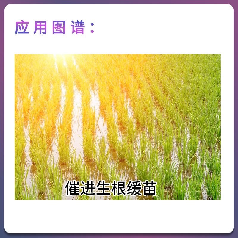 瓦拉格罗苗迪发1升