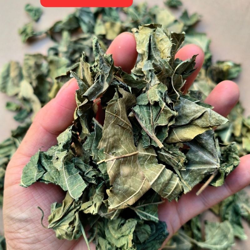 桑叶1公斤中药材桑叶干桑叶泡水喝霜打霜后霜桑叶茶散装