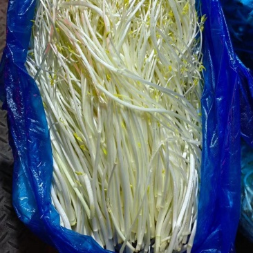 安徽特色有机蔬菜芹芽