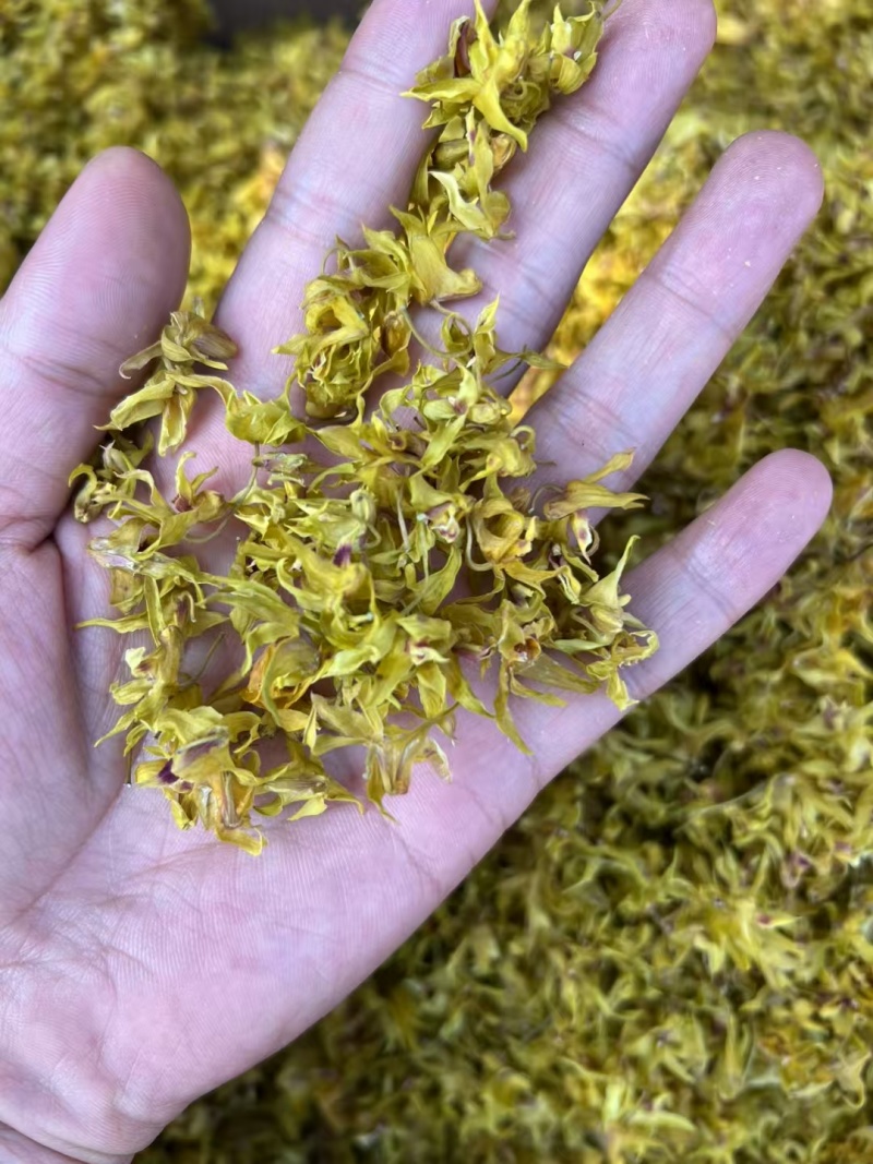 云南（西双版纳基地发货）高山铁皮石斛干花