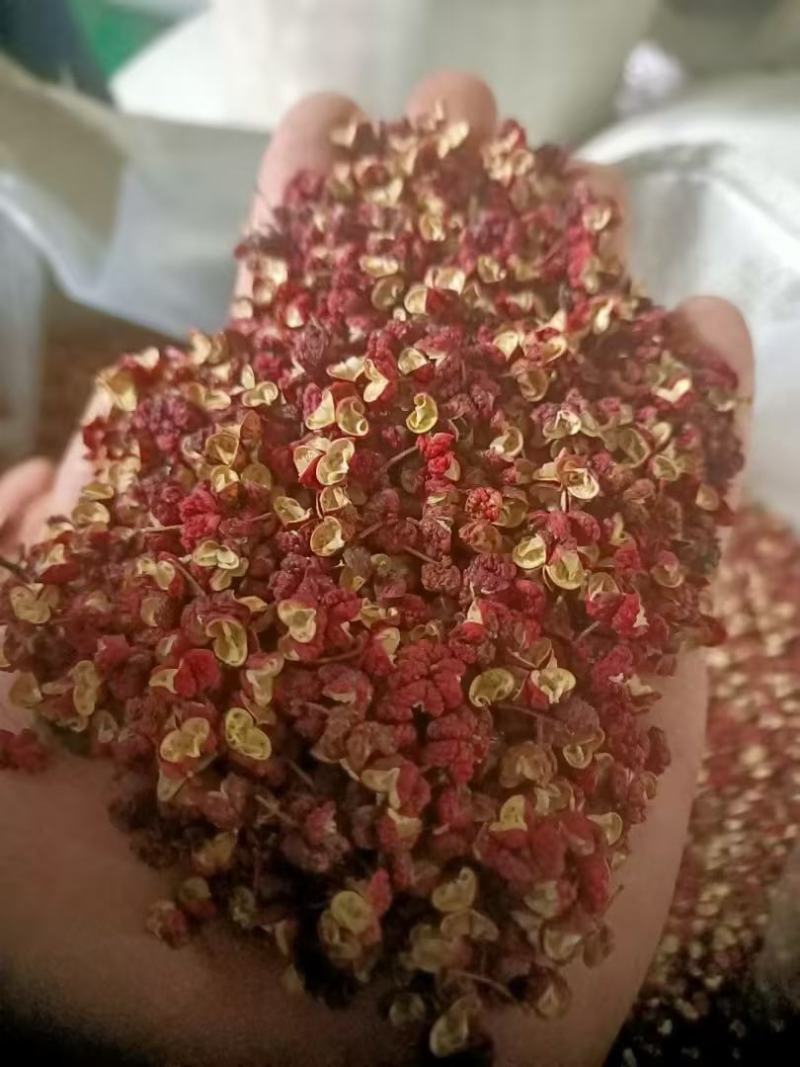 陕西精品大红袍花椒大量供应，货源充足，支持零售批发包邮。