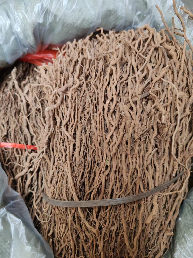 通城虎中药材野生通城虎根定心草野生五虎通城血蒌