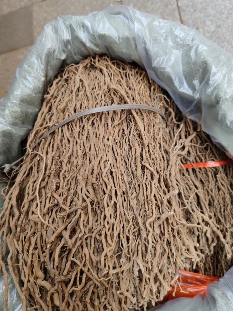 通城虎中药材野生通城虎根定心草野生五虎通城血蒌